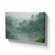 Картина на полотні Ліс у тумані 110x70 см WS Holst 14082227,2
