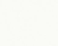 Обои виниловые на флизелиновой основе A.S. Creation Michalsky - Change is good 37986-5 0,53x10,05 м