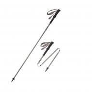 Трекинговые палки Naturehike CNK2450DS06 0 см серая 6927595791714