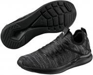 Кроссовки женские демисезонные Puma IGNITEFlashevoKNITSEPWn 19095901 р.39 черные