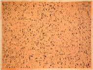 Дошка коркова ТСО Класік 100х70 см (чорно-біла крапка)