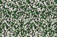 Мозаїчна штукатурка Siltek Decor Silicon Mosaic 4342 25 кг