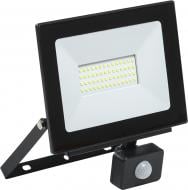 Прожектор с датчиком движения IEK СДО 06-50Д LED 50 Вт IP54 черный Прожектор с датчиком движения IEK СДО 06-50Д LED 50 Вт IP54 черный