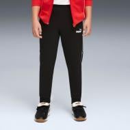 Штани Puma SPORT Sweatpants FL cl B 68917501 р. 152 чорний