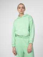Джемпер 4F SWEATSHIRT F255 4FSS23TSWSF255-42S р. XS зеленый
