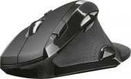 Мышь Trust Vergo Wireless Ergonomic Comfort 21722 (21722)