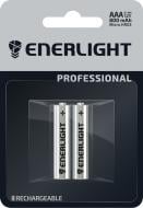 Аккумулятор Enerlight Professional AAA (мизинчиковые) 2 шт. (30310102)