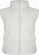 Жилет Nike Tf Synfl FZ5922-072 р.S кремовый