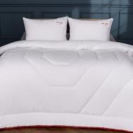 Одеяло антиаллергенное №030 Deluxe ITALY зима 200x220 см MirSon белый