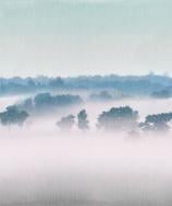 Обои виниловые на флизелиновой основе Grandeco Plains&Murals 2,12 PM6401 2,8 м