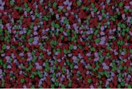 Мозаичная штукатурка Siltek Decor Silicon Mosaic 4463 25 кг