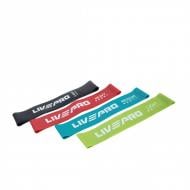 Набор лент для фитнеса LivePro Resistance Loops Bands (LP8412)
