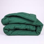 Одеяло антиаллергенное №119 Сolor Fun Line 17-0612 Stripe Emerald Eco-Soft демисезон 200x220 см MirSon зеленый