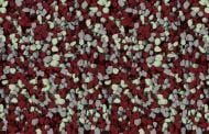 Мозаїчна штукатурка Siltek Decor Silicon Mosaic 4485 25 кг