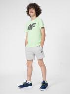 Шорти 4F 4FJSS23TSHOM048-27M р. 140 сірий