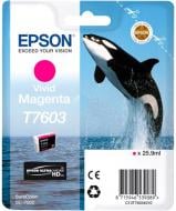Картридж Epson SC-P600 Magenta рожевий