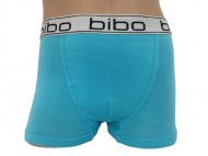 Трусы для мальчика Bibo боксеры р.80 бирюзовый 24050