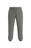 Брюки Converse SNEAKER PATCH PANT CVM5B547-M6X р. XL серый
