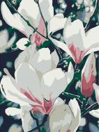 Холст с контуром Магнолия 30x40 см Rosa Start