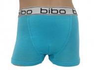 Трусы для мальчика Bibo р.152 бирюзовый 24050