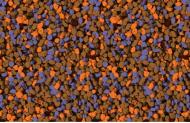 Мозаичная штукатурка Siltek Decor Silicon Mosaic 4536 25 кг