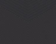 Обои виниловые на флизелиновой основе A.S. Creation Daniel Hechter 6 37522-6 0,53x10,05 м