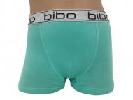 Трусы для мальчика Bibo р.92 зеленый 24051