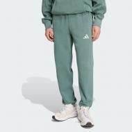 Брюки Adidas M A SZN W FT PT JN0618 р. L зеленый
