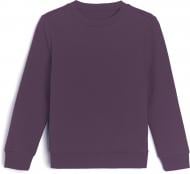 Свитшот для мальчика KOSTA р.134 27 бордовый 2240-7