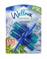 Туалетный блок Wellnax Эвкалипт 2х50 г