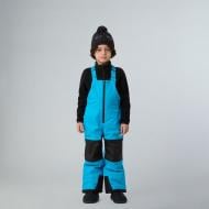 Куртка THE NORTH FACE KID FREEDOM INSULATED BIB NF0A88VMD7R1 р. 4 голубой