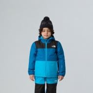 Куртка THE NORTH FACE KID FREEDOM INSULATED JACKET NF0A88VKD201 р.4