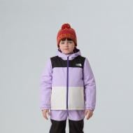 Куртка THE NORTH FACE KID FREEDOM INSULATED JACKET NF0A88VKE151 р.4