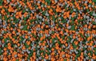 Мозаичная штукатурка Siltek Decor Silicon Mosaic 4608 25 кг