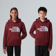 Джемпер THE NORTH FACE TEEN DREW PEAK PULLOVER HOODIE NF0A8EHH0VO1 р.XL черный