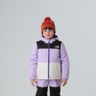 Куртка THE NORTH FACE KID FREEDOM INSULATED JACKET NF0A88VKE151 р.6
