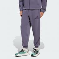 Брюки Adidas M Z.N.E. PT JW4727 р. S синий