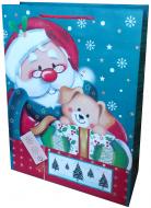 Пакет подарунковий паперовий новоірчний 41 смх32 см ДЕЛЮКС дитячі дизайни Happycom International Пакет подарунковий паперовий новоірчний 41 смх32 см ДЕЛЮКС дитячі дизайни Happycom International