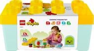 Конструктор LEGO DUPLO Фермерский огород 10984