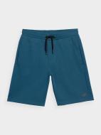 Шорты 4F 4FSS23TSHOM156-32S р. 2XL синий