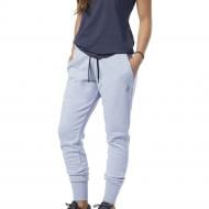 Брюки Reebok RC Lightweight Jogg DY8401 р. M синий