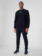 Штани 4F 4FSS23TTROM143-31S р. M синій