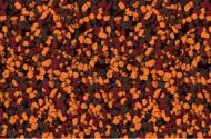 Мозаичная штукатурка Siltek Decor Silicon Mosaic 4653 25 кг