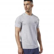 Футболка Reebok OST Speedwick Graph EC1024 р.XL серый