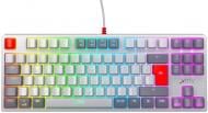 Клавиатура Xtrfy K4 TKL RGB Kailh Red Retro (XG-K4-RGB-TKL-RETRO-RRUS) grey