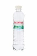 Вода Трускавецька негазированная 0,5 л