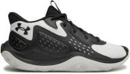 Кроссовки унисекс демисезонные Under Armour Jet 23 3026634-006 р.40 черные