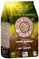 Крупа вівсяна GALEKS-AGRO плющена органічна 800 г