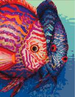 Картина по номерам " Рыбы" Rosa Start