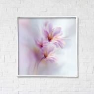 Постер Танец нежности с белой рамкой 50x50 см Brushme FNK5000127_RN53-3